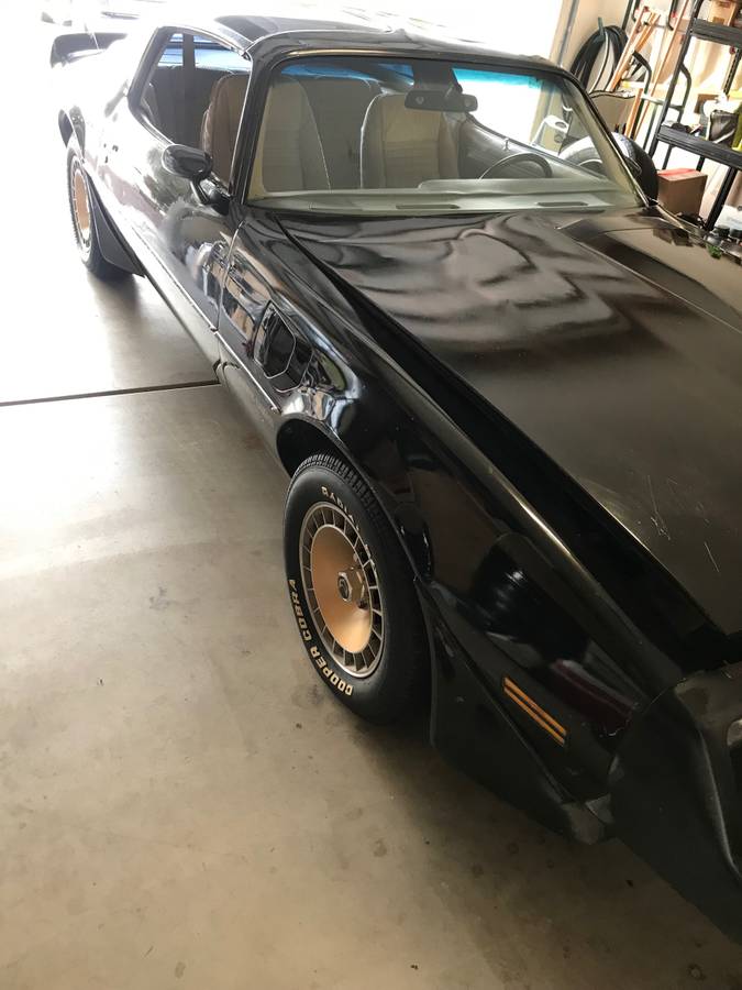 Pontiac-Trans-am-1981-4