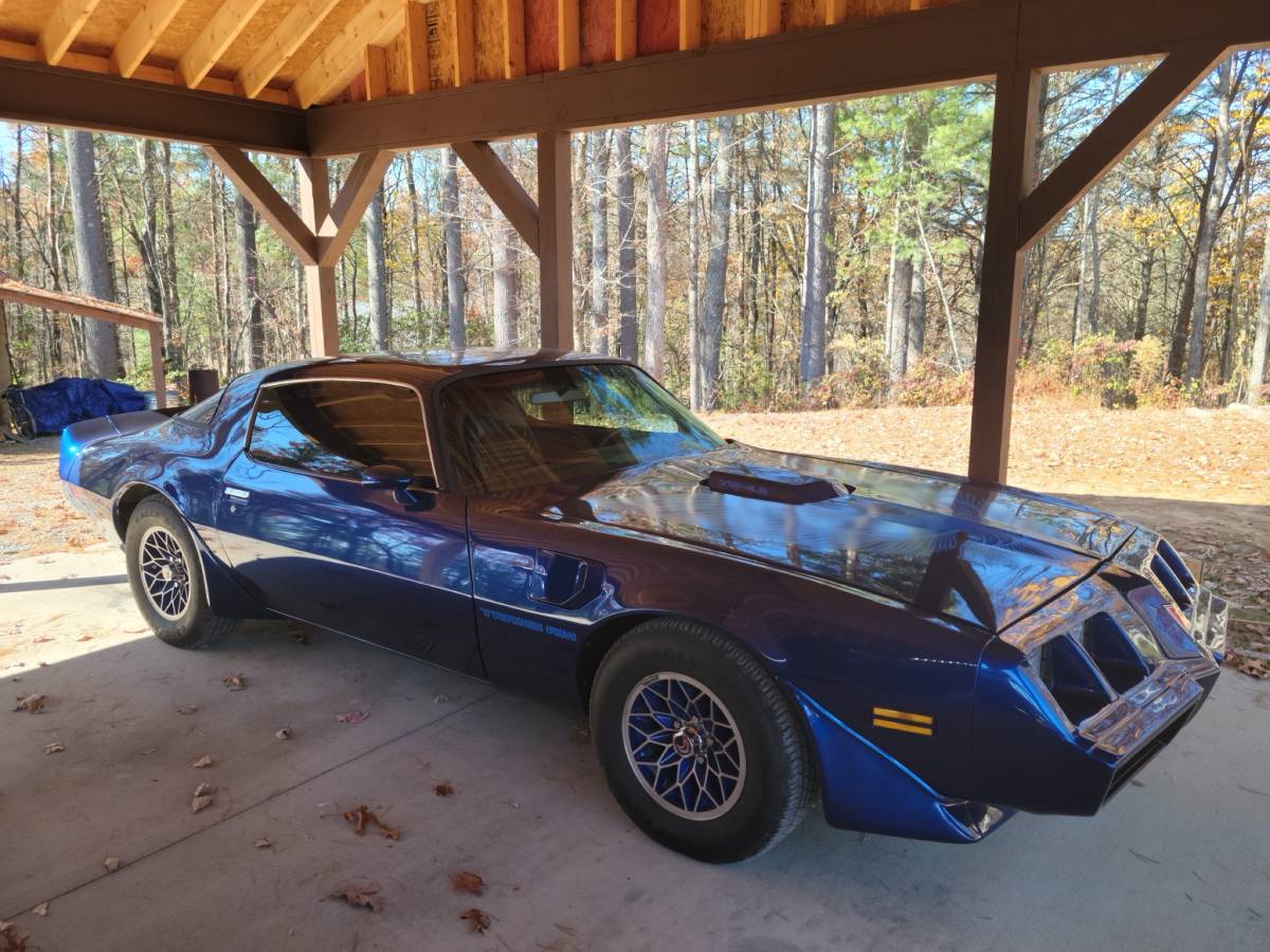 Pontiac-Trans-am-1981-blue-198683-1