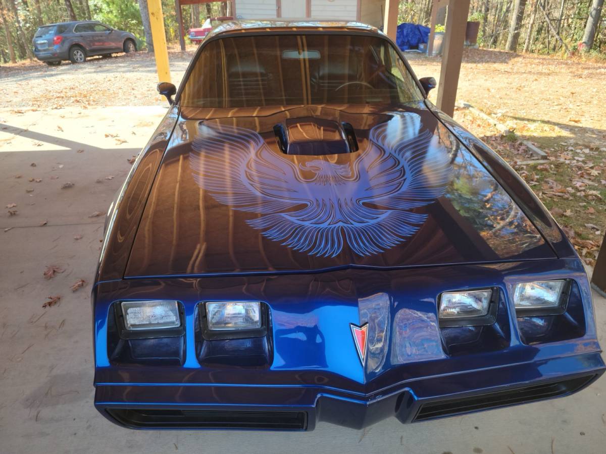 Pontiac-Trans-am-1981-blue-198683-2