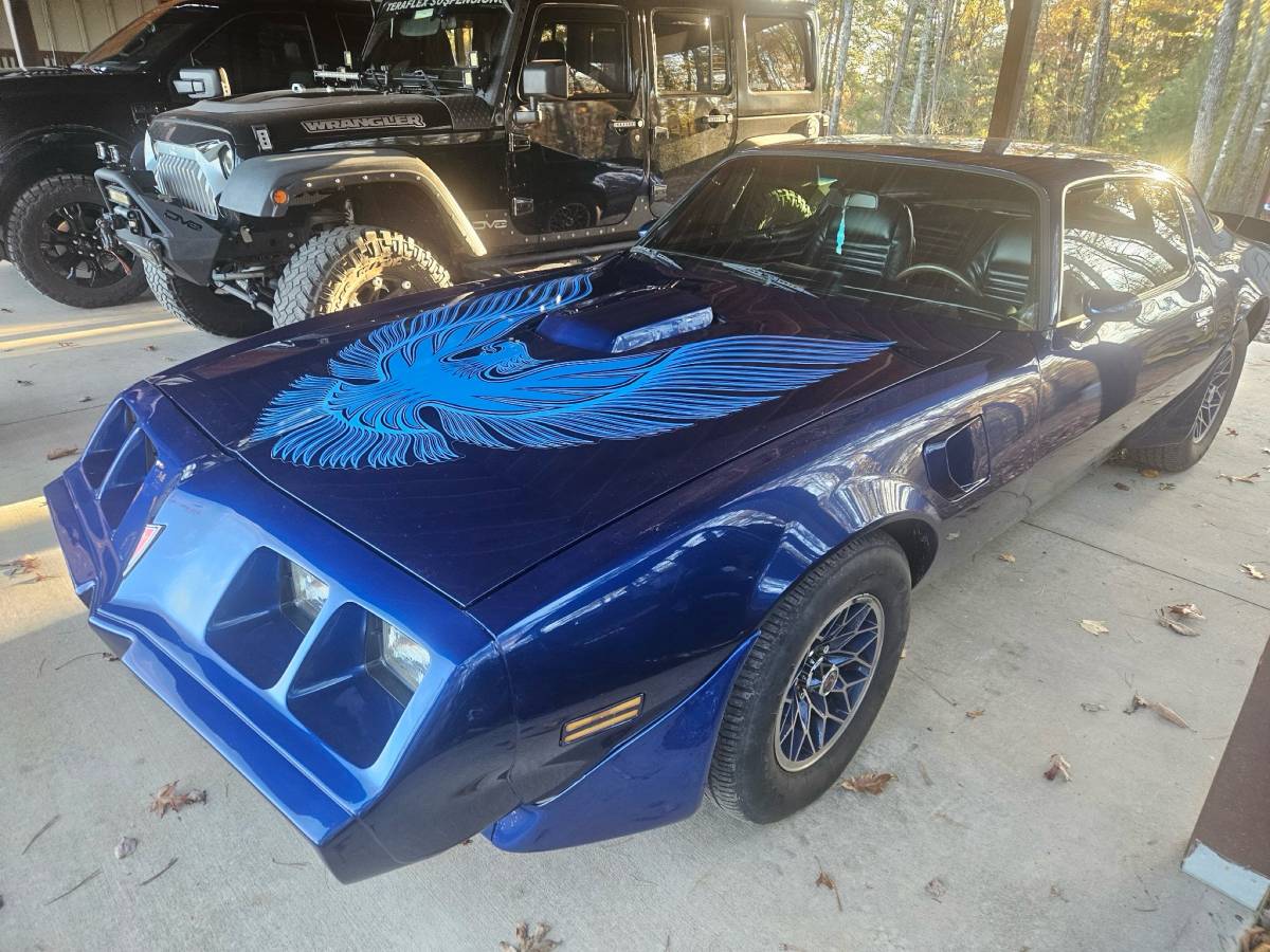 Pontiac-Trans-am-1981-blue-198683-3