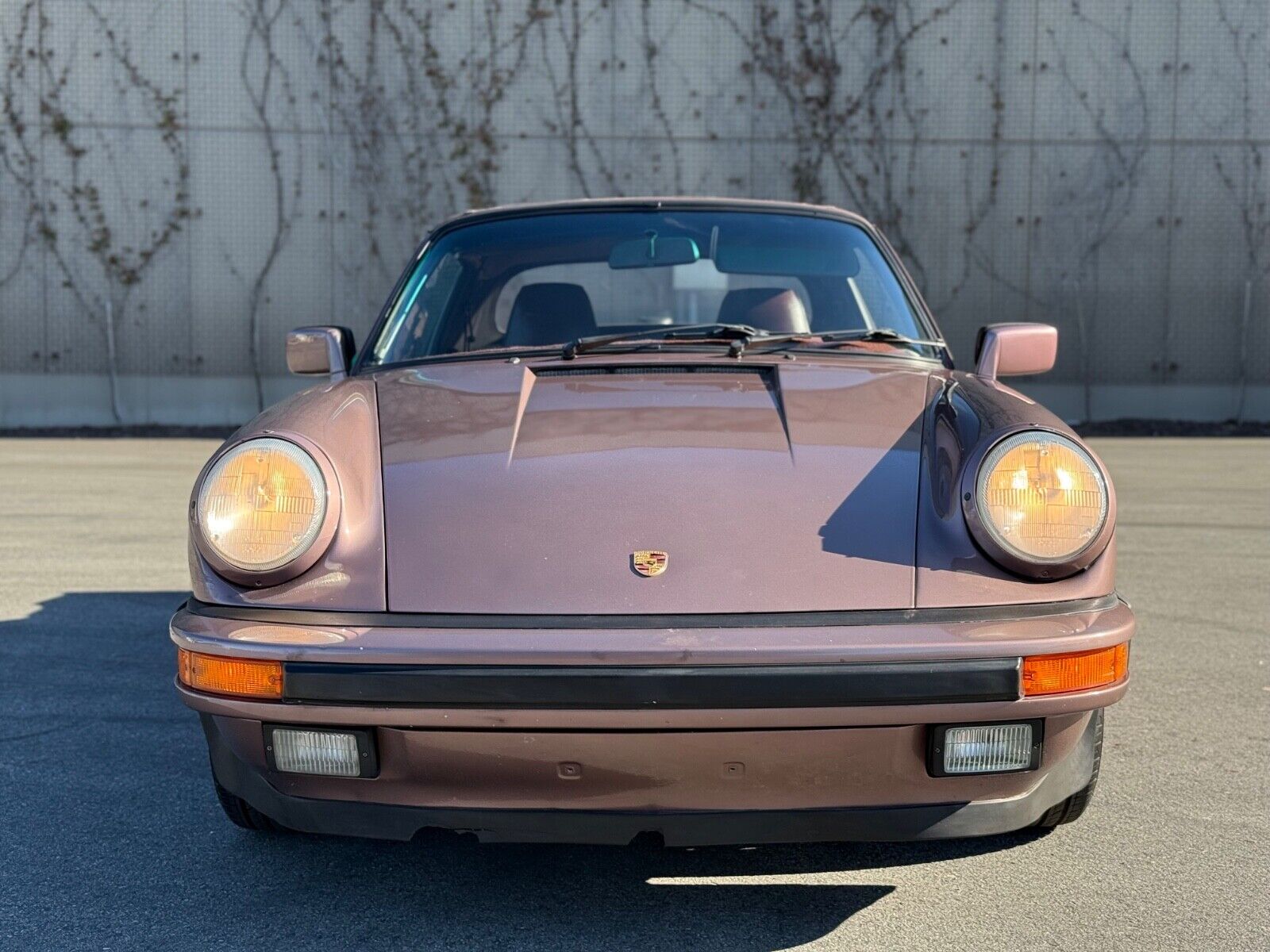 Porsche-911-Cabriolet-1987-262606-2