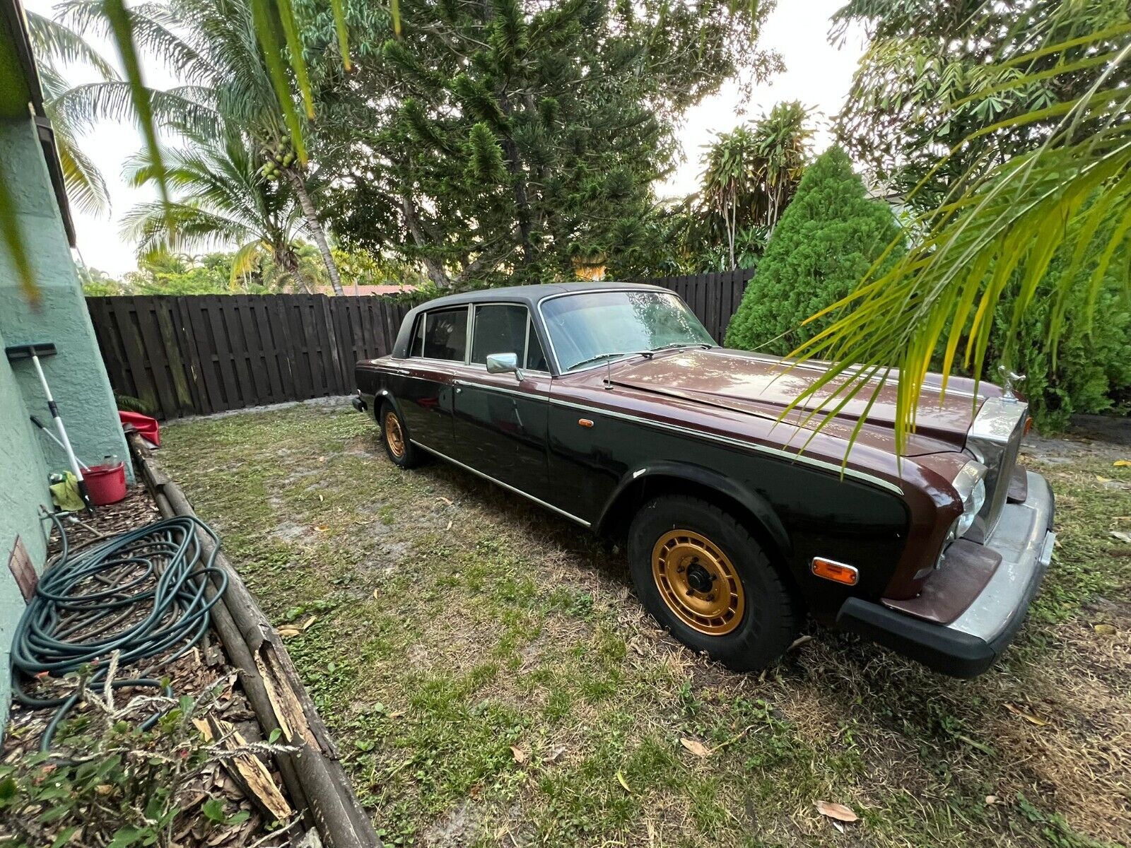 Rolls-Royce-Silver-SpiritSpurDawn-1979-11