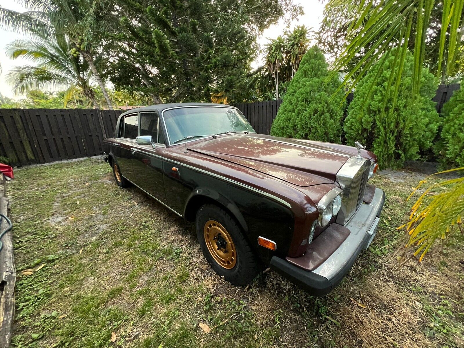 Rolls-Royce-Silver-SpiritSpurDawn-1979-3