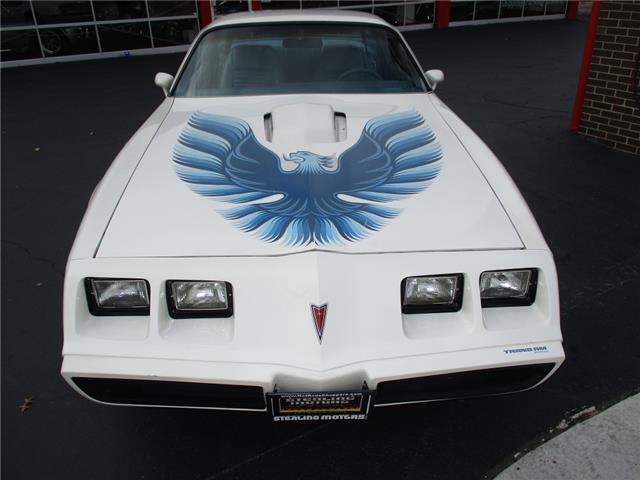 TAFE-OLDS-403CI-6.6L-3-SPEED-1979-White-Blue-154048-2