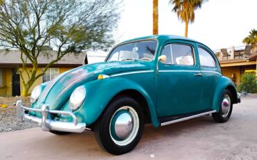 Volkswagen-Beetle-1964-green-152928-7