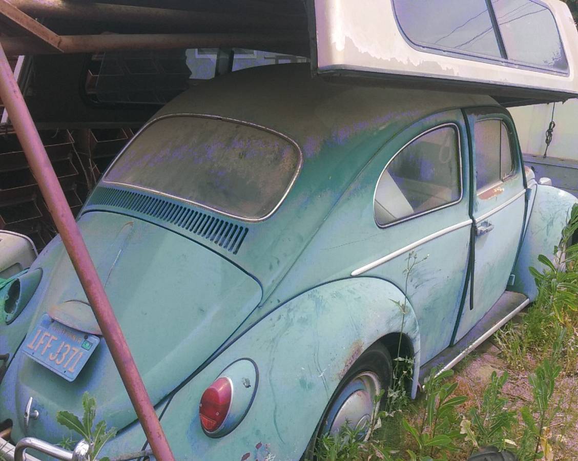 Volkswagen-Beetle-1964-green-152928-8