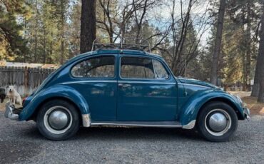 Volkswagen-Beetle-1965-4