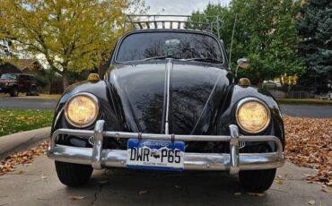 Volkswagen-Beetle-1967-black-16092-1