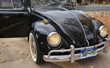 Volkswagen-Beetle-1967-black-16092-20