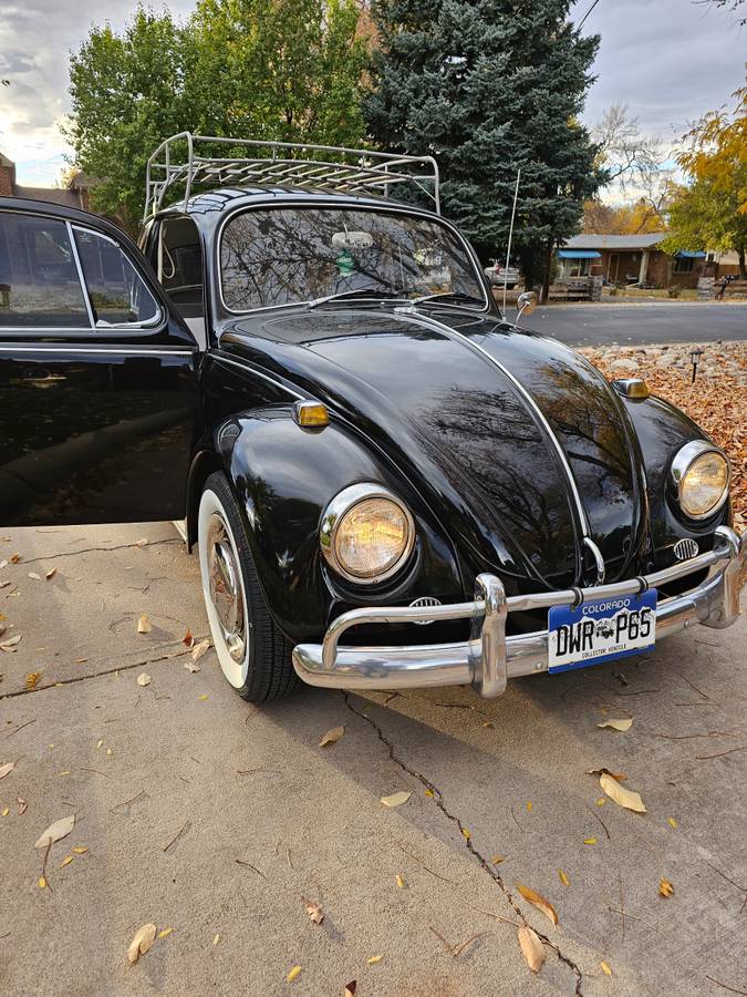 Volkswagen-Beetle-1967-black-16092-20