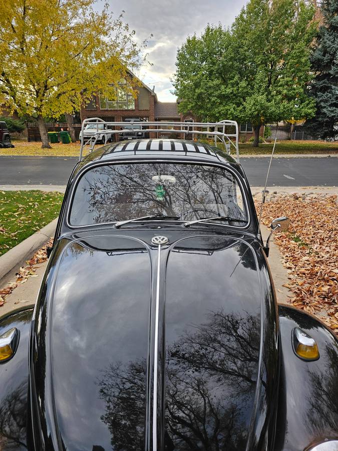 Volkswagen-Beetle-1967-black-16092-22