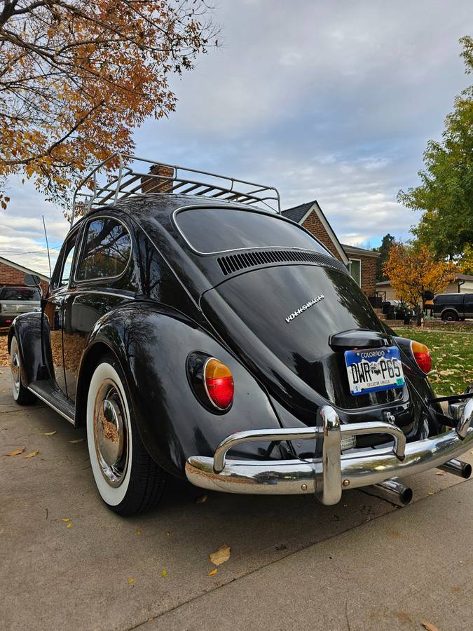 Volkswagen-Beetle-1967-black-16092-4