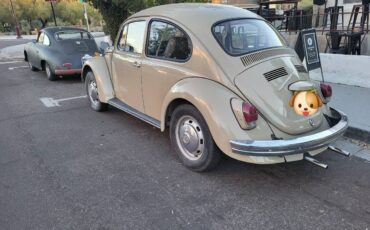 Volkswagen-Beetle-1970-57936-3