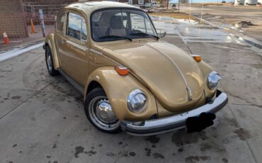 Volkswagen-Beetle-1974-custom-278416-1