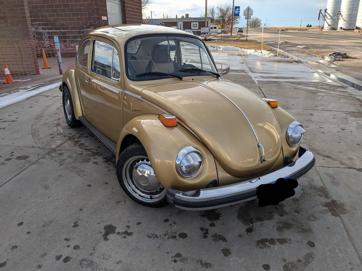 Volkswagen-Beetle-1974-custom-278416-1