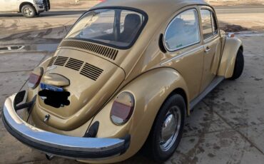 Volkswagen-Beetle-1974-custom-278416-2