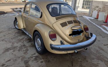 Volkswagen-Beetle-1974-custom-278416-3