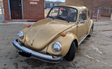 Volkswagen-Beetle-1974-custom-278416