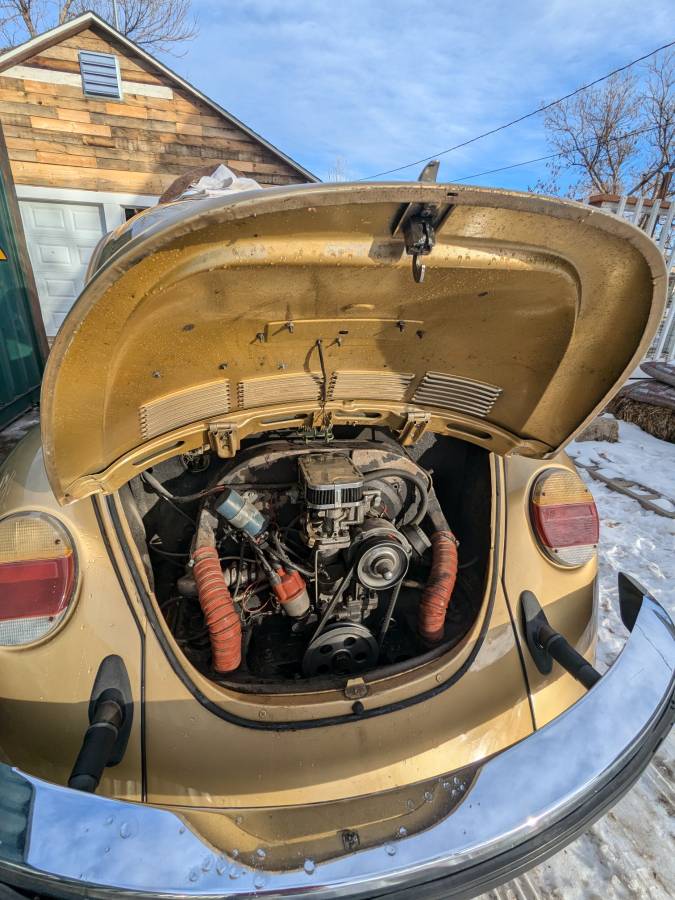 Volkswagen-Beetle-1974-custom-278416-8