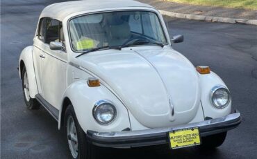 Volkswagen-Beetle-Cabriolet-1977-8