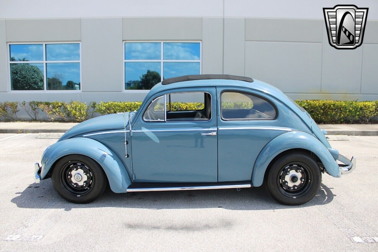 Volkswagen-Beetle-Classic-1959-Blue-Gray-128757-4