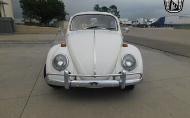 Volkswagen-Beetle-Classic-1966-White-Red-64065-2