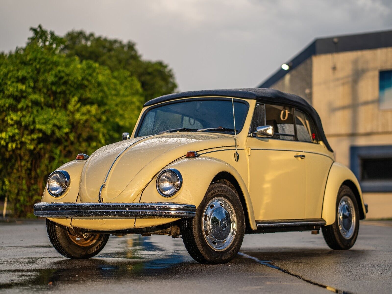 Volkswagen-Beetle-Classic-1969-Yellow-Black-0-11