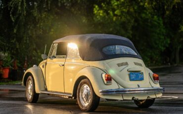 Volkswagen-Beetle-Classic-1969-Yellow-Black-0-14