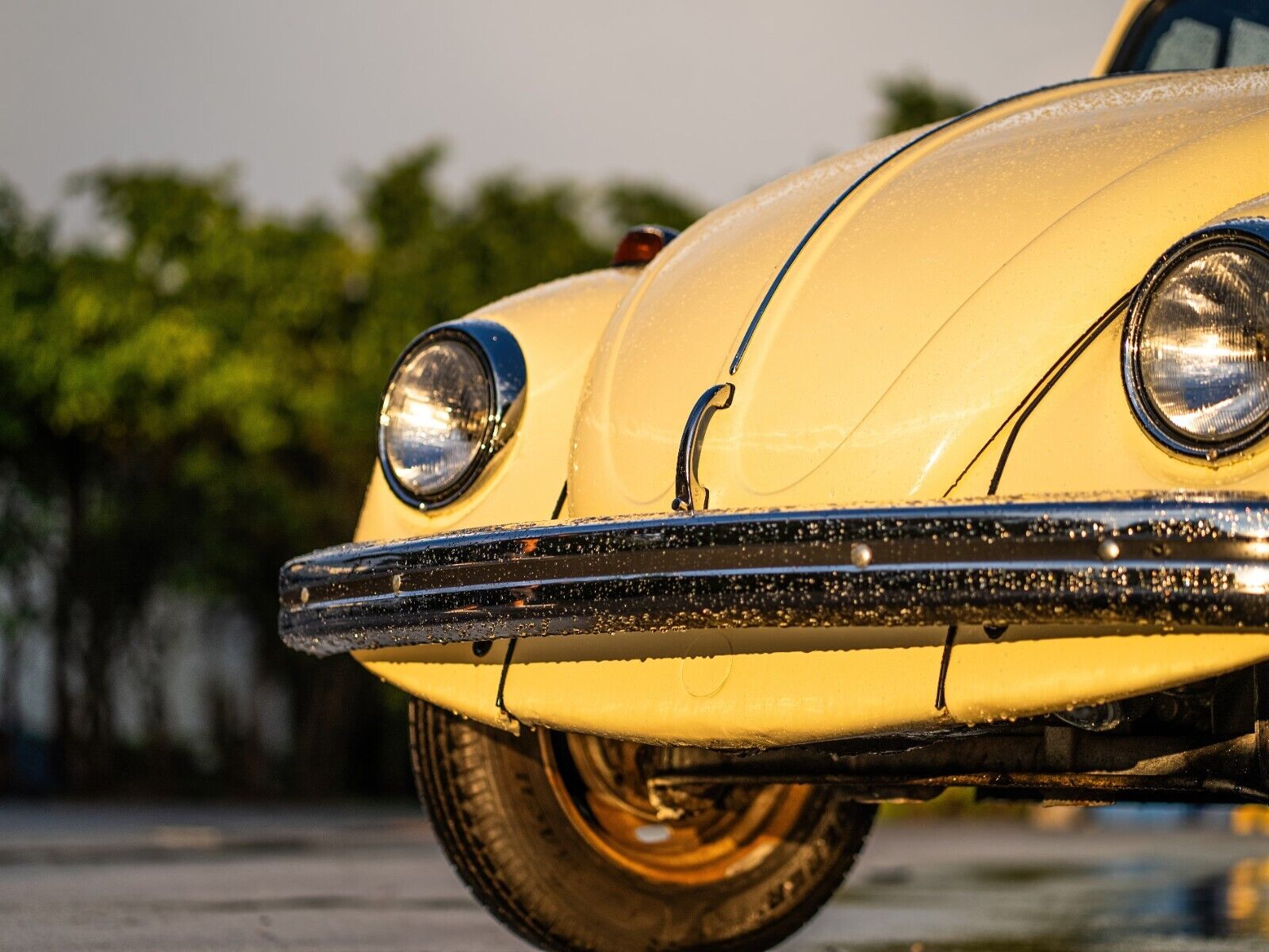 Volkswagen-Beetle-Classic-1969-Yellow-Black-0-17