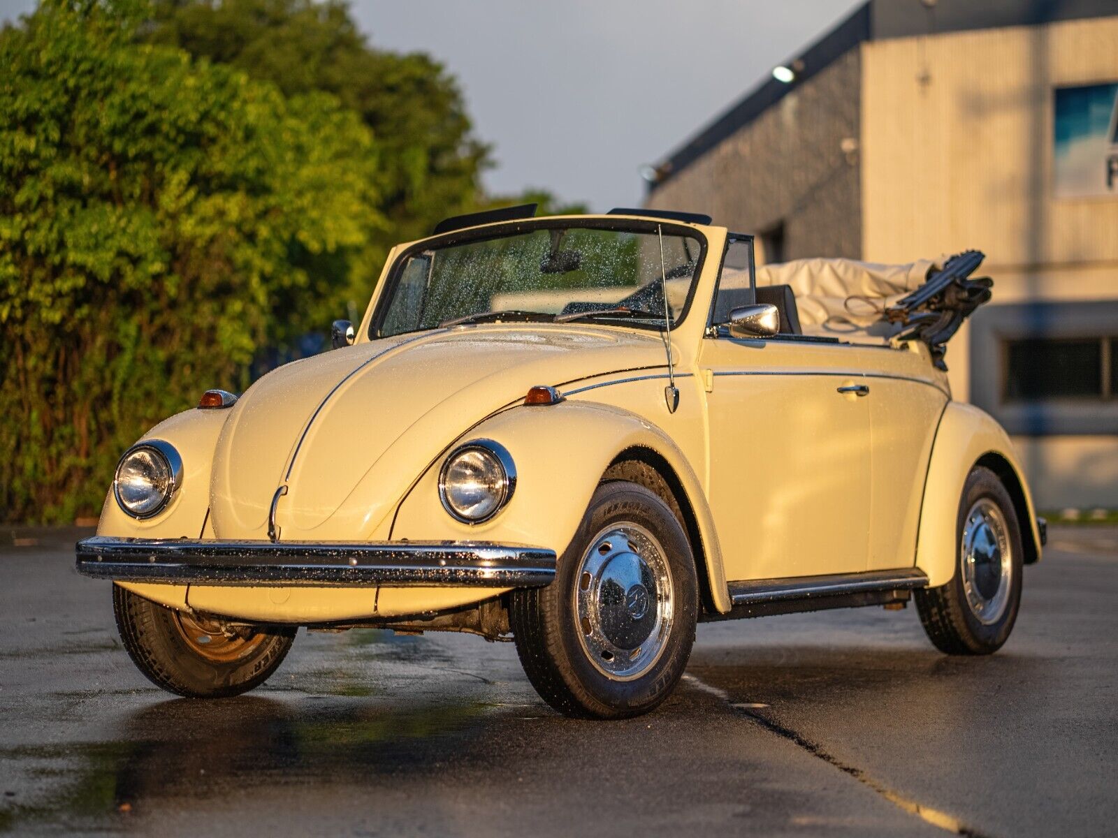 Volkswagen-Beetle-Classic-1969-Yellow-Black-0-20