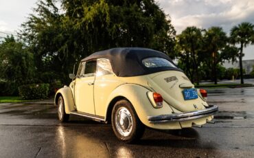 Volkswagen-Beetle-Classic-1969-Yellow-Black-0-3