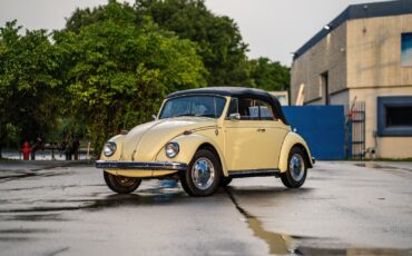 Volkswagen Beetle - Classic 1969