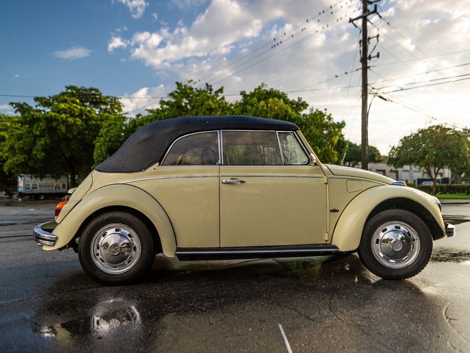 Volkswagen-Beetle-Classic-1969-Yellow-Black-0-5