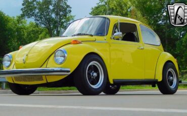 Volkswagen-Beetle-Classic-1973-3