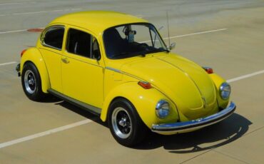 Volkswagen-Beetle-Classic-1973-9