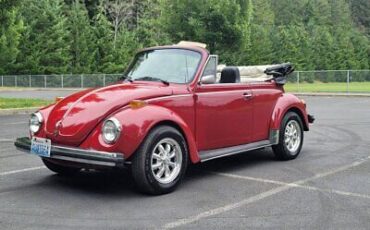 Volkswagen-Beetle-Classic-1975-1