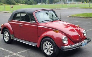 Volkswagen-Beetle-Classic-1975-4