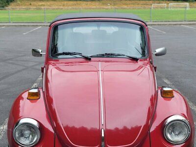 Volkswagen-Beetle-Classic-1975-5