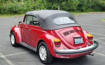 Volkswagen-Beetle-Classic-1975-6