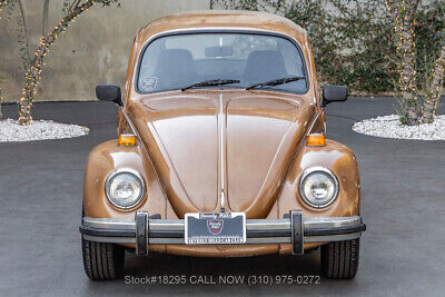 Volkswagen-Beetle-Classic-1976-1