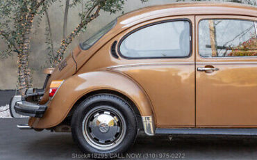 Volkswagen-Beetle-Classic-1976-10