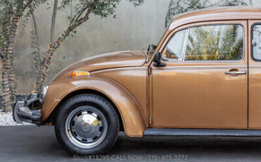 Volkswagen-Beetle-Classic-1976-11