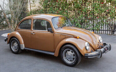 Volkswagen-Beetle-Classic-1976-2