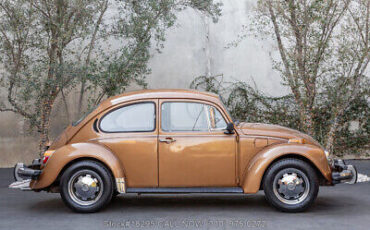 Volkswagen-Beetle-Classic-1976-3