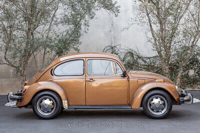 Volkswagen-Beetle-Classic-1976-3