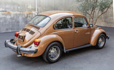 Volkswagen-Beetle-Classic-1976-4