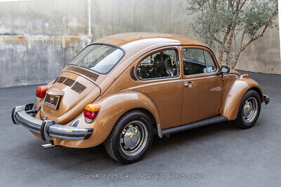 Volkswagen-Beetle-Classic-1976-4