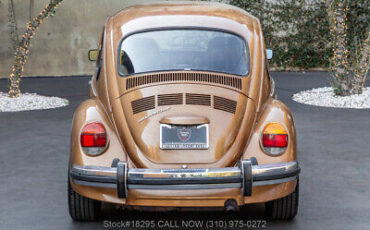 Volkswagen-Beetle-Classic-1976-5