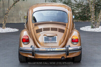 Volkswagen-Beetle-Classic-1976-5