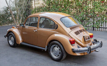 Volkswagen-Beetle-Classic-1976-6